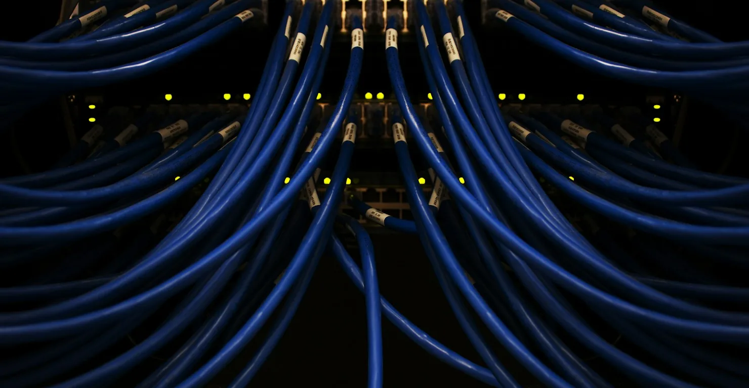 Câbles réseau bleus branchés sur une baie de serveurs, image du rôle d'aiguillage d'un reverse proxy